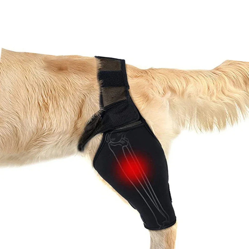 Universal Hip Brace For Dogs Dog Knee Brace Made With Breathable And Elastic Fabric Knee Brace Dog Legs Protector Pet Supplies - Image 3