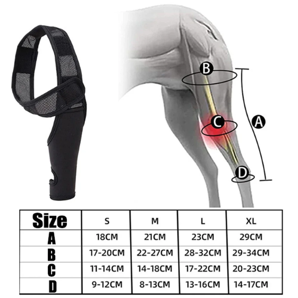 Universal Hip Brace For Dogs Dog Knee Brace Made With Breathable And Elastic Fabric Knee Brace Dog Legs Protector Pet Supplies - Image 6