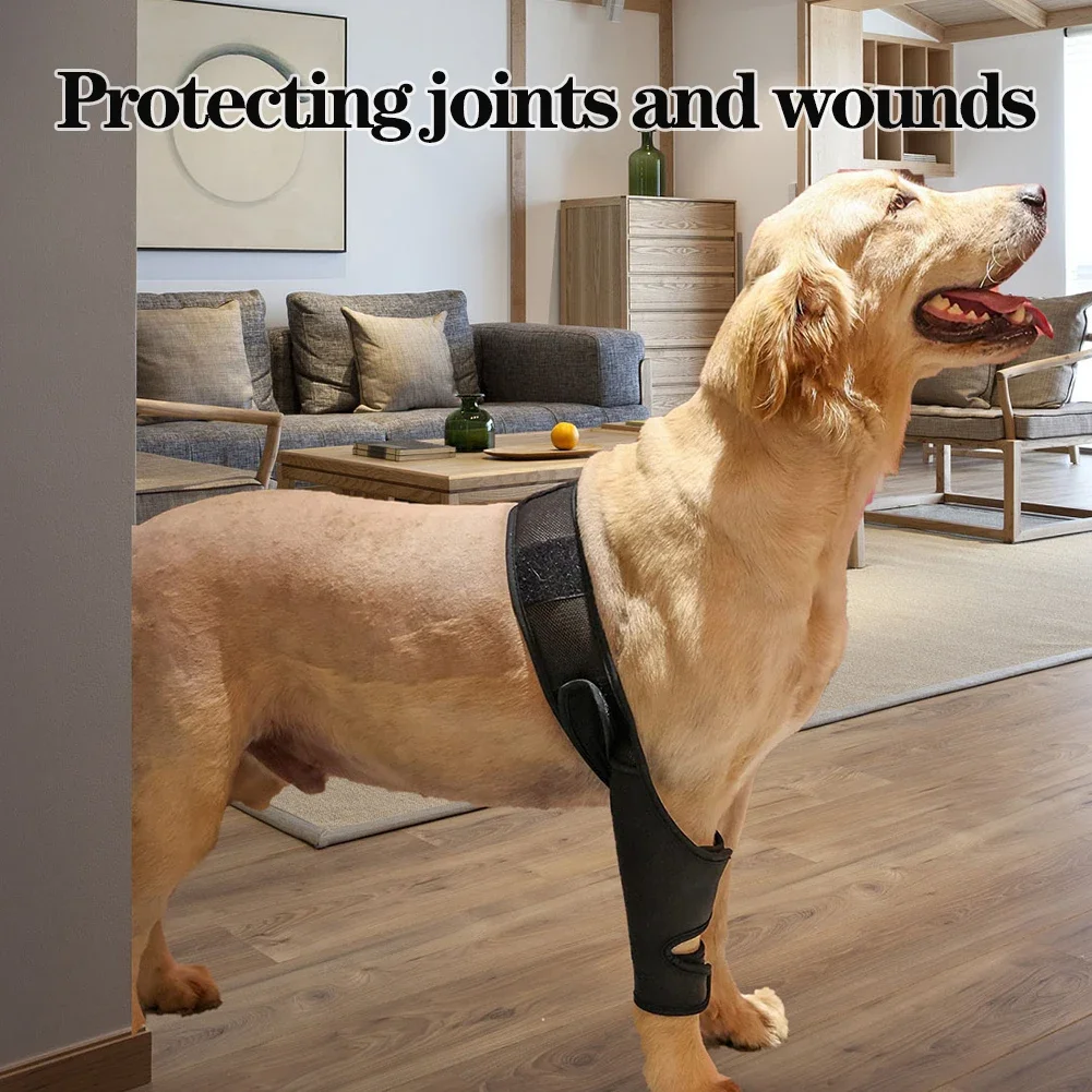Universal Hip Brace For Dogs Dog Knee Brace Made With Breathable And Elastic Fabric Knee Brace Dog Legs Protector Pet Supplies - Image 2